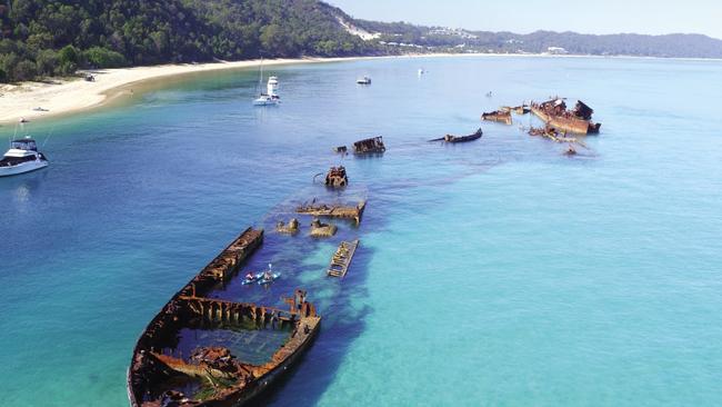 Tangalooma WrecksWhen a cluster of ships was sunk off Tangalooma Island between 1963 and 1984 by the Queensland government, the hope was that - with time - they would become hyper accessible dive sites. The mission has been accomplished as they sit just off shore and are now home to not only 100 species of fish but also visiting dolphins, dugongs and wobbegongs. From $169.Book here