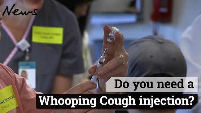 Do you need a Whooping Cough injection?