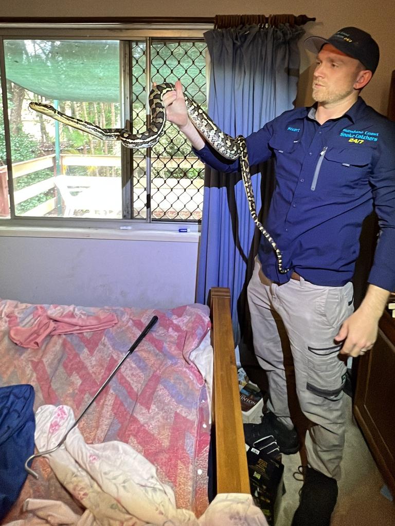 Mr McKenzie was called out for this carpet python. Picture: Sunshine Coast Snake Catchers / Facebook