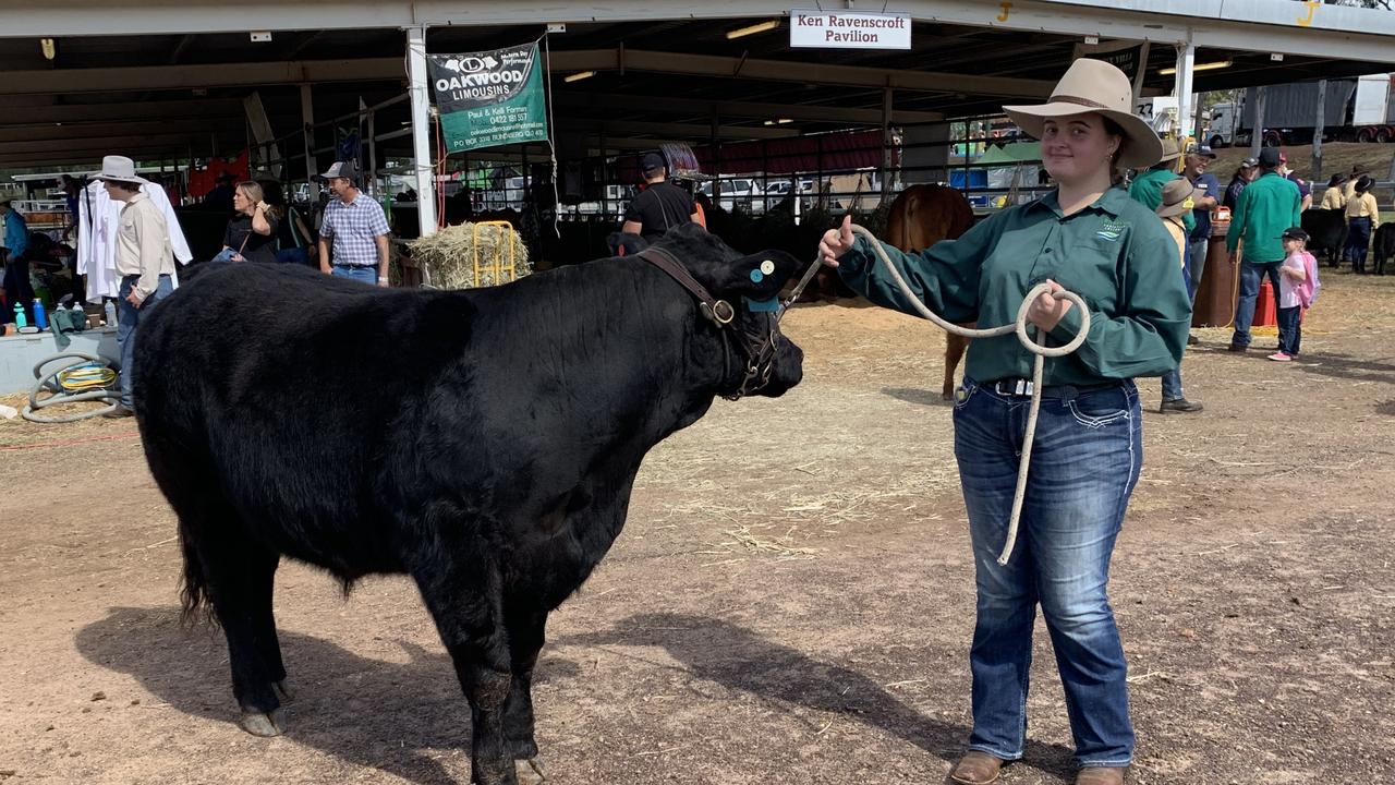 Year 10 Riverside Christian College Student Charlotte Ravenscroft with a black Limousin cow at the Fraser Coast Ag Show. Photo: Stuart Fast