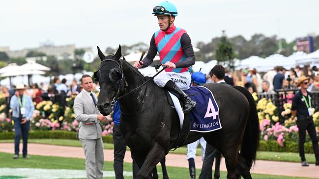 Antino is likely to attack the Group 1 Doomben Cup in the Queensland winter carnival. Picture: Getty Images.