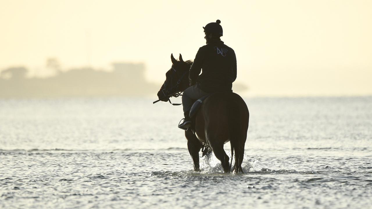 Altona Beach Session