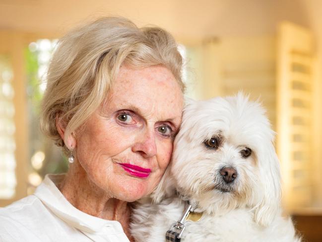 MELBOURNE, DECEMBER 5, 2023: A Bayside Maltese Shitzu is in the doghouse after he broke a little known rule, resulting in a massive fine for his owner. Judy Murphy, 79, was slapped with a $288 fine by the local council after her Ãsweet little lapdogÃ Clarrie was busted standing in his Sandringham driveway without a lead. Picture: Mark Stewart