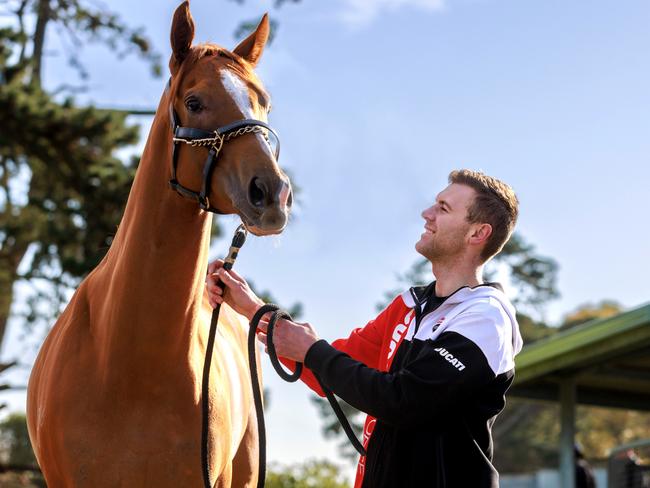 MELBOURNE, AUSTRALIA,  AUGUST 23, 2023:  ON HOLD DO NOT USE.  DAILY TELEGRAPH. Strict Embargo for The Daily Telegraph. Everest documentary special feature. Speak to the Daily Tele pic desk before using., Everest winning trainer Clayton Douglas with Giga Kick  at his Mornington stables. , Picture: David Geraghty