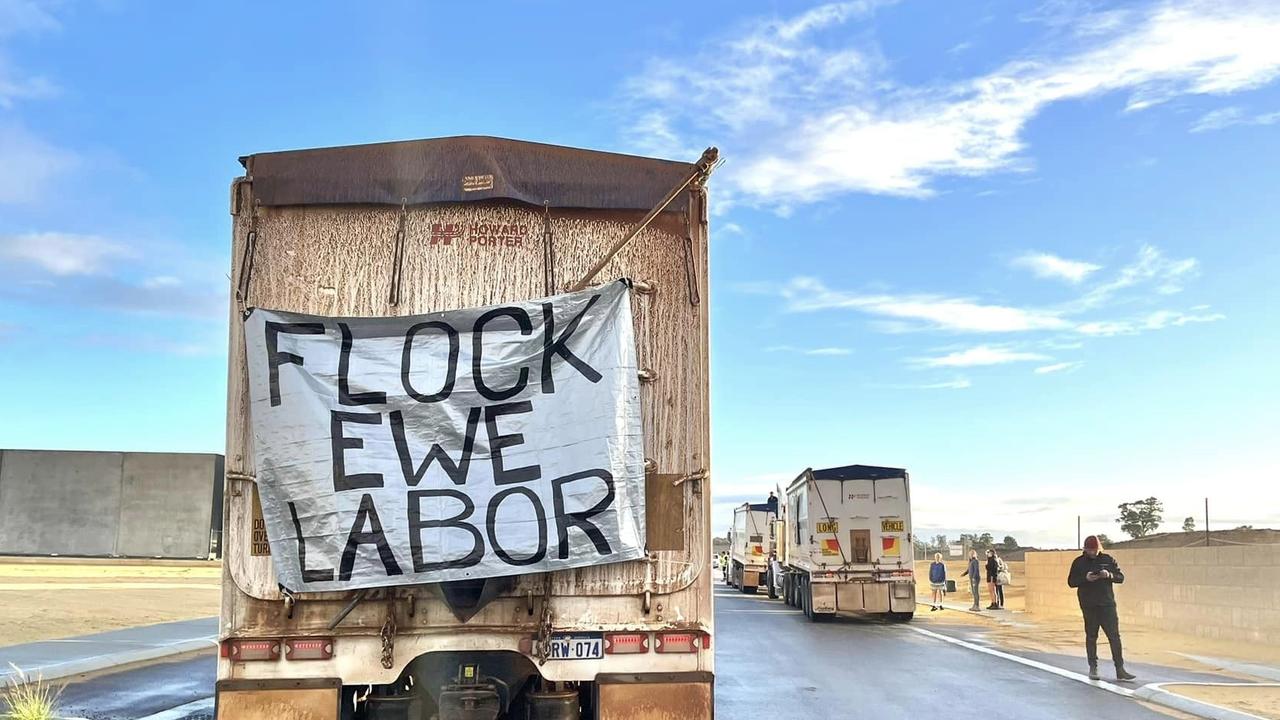 How the live sheep export ban impacted voting in WA