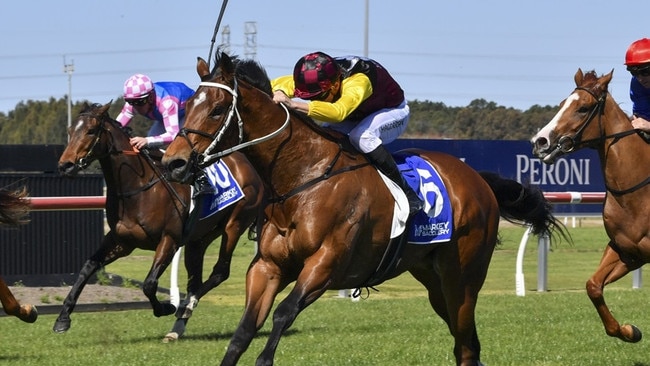 Unstopabull Kembla Grange. Picture: Bradley Photos