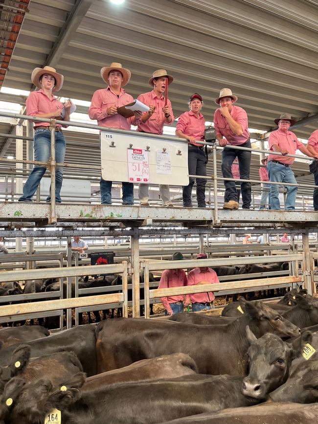 Selling action at day two of weaner sales at Wodonga where prices were judged to be up for lighter cattle.