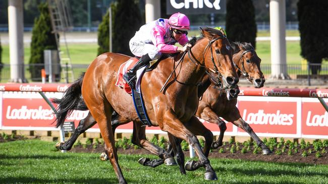 Former Singaporean galloper, The Inferno, has been good in his three Australian starts and will be strong late. Picture: Getty Images
