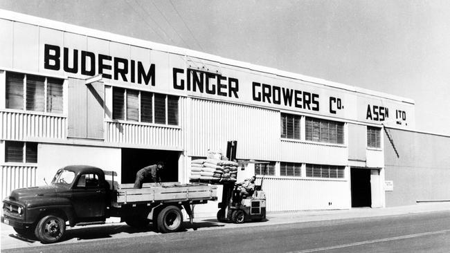 Buderim Ginger Factory, pictured when it was in Burnett Street, Buderim in 1966.