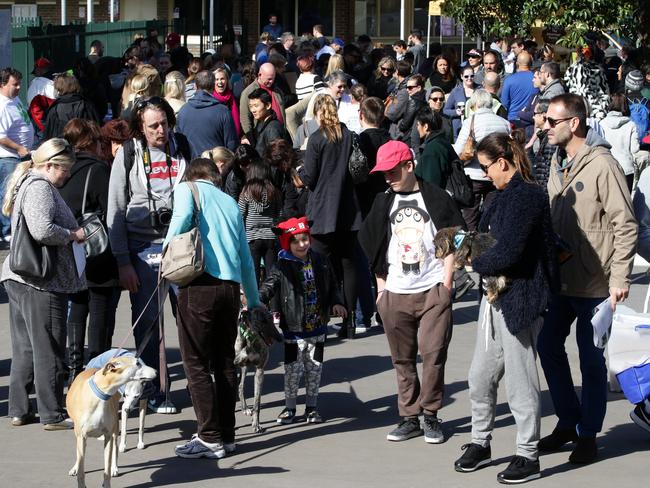 Crowds at today’s Wentworth Park event. Picture: Jonathan Ng