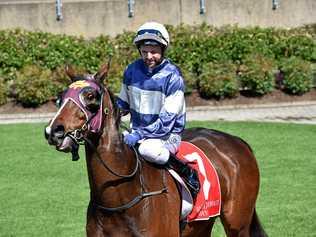 AT CORBOULD PARK: Larry Cassidy pictured at the Caloundra track recently. Picture: Warren Lynam