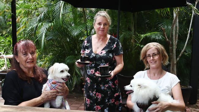 Hidden @ Yorkeys cafe is a dog friendly eatery. Cafe owner Kim Kelso serves some coffees to Meredith Iskov and Mandy Boerboom, pictured with their dogs Piccolo and Sara. Picture: Brendan Radke