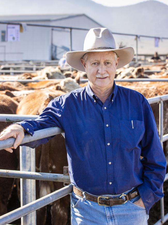 The annual Mountain Cattle Sales drew plenty of interest.