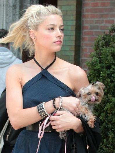 Actress Amber Heard pictured with one of the two dogs she owns with her husband Johnny Depp. Picture: Verticalle.com