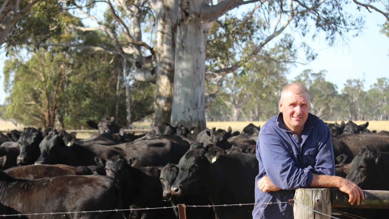 Wrattonbully grazier and Limestone Coast Sustainable Futures Association chairman Todd Woodard. Picture: Supplied