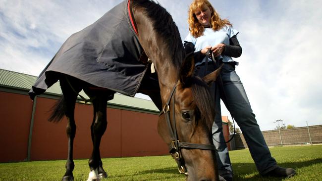 Donna Stewart had to watch Makye Diva create history with her second and third Melbourne Cup wins on TV. Picture: Kelly Barnes