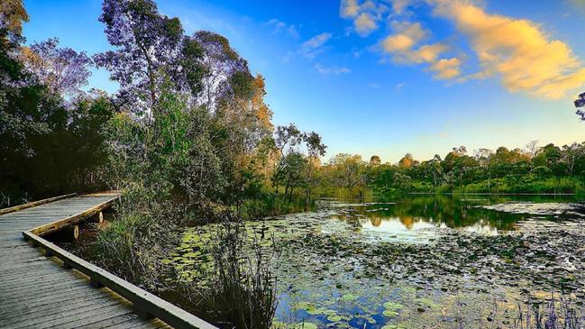 Wetlands will be part of the park. 