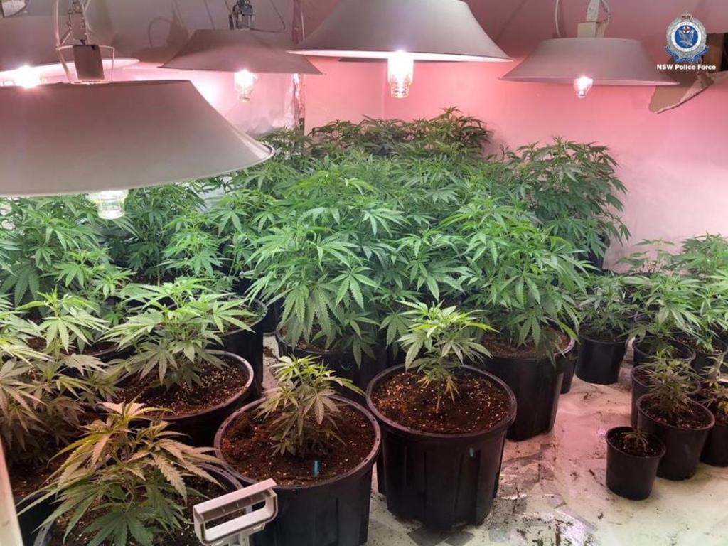 NSW Police has released a series of signs that a house is a marijuana hydro house.