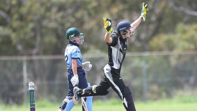 Charlestown celebrates a wicket. Charlestown v Newcastle City, SG Moore Cup round one at Kahibah Oval. Picture: Sue Graham