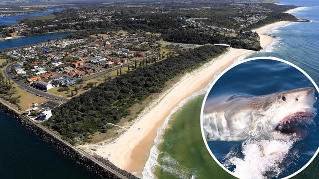 A northern NSW tourist town was shaken by a series of horrifying shark attacks – but they ceased as quickly as they began. Now, science has shed more light on the incidents.