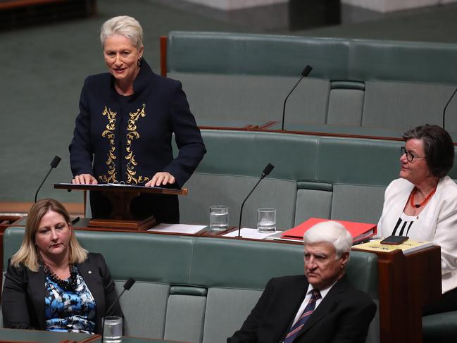 Kerryn Phelps  delivering her Maiden Speech in the House of Representatives Chamber in Parliament House, Canberra. Picture Kym Smith