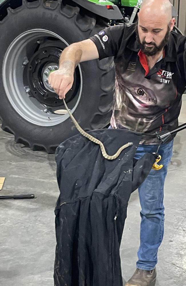 Mr Gatt handling his own pet snake. Picture: Supplied.