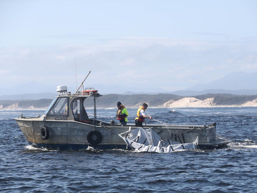 Rescue mission of surviving whales. Stranding of over 200 pilot whales at Macquarie Heads near Strahan Tasmania. Picture: Nikki Davis-Jones