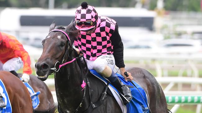 Emerald Kingdom is Ron Dufficy’s best bet at Randwick on Saturday.