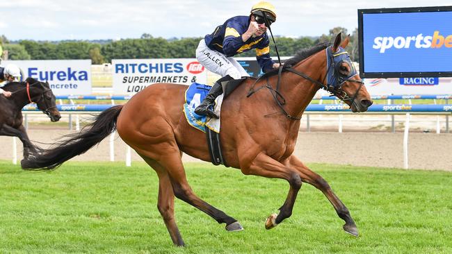 Bankers Choice won the latest edition of the $500,000 Ballarat Cup in November. Picture: Racing Photos via Getty Images.