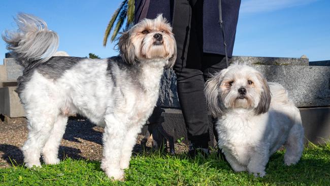 Kate- not her real name with her dogs, Louie and RuPaul, who helped her escape her attacker at Melbourne’s Williamstown Cemetery. Picture: Sarah Matray