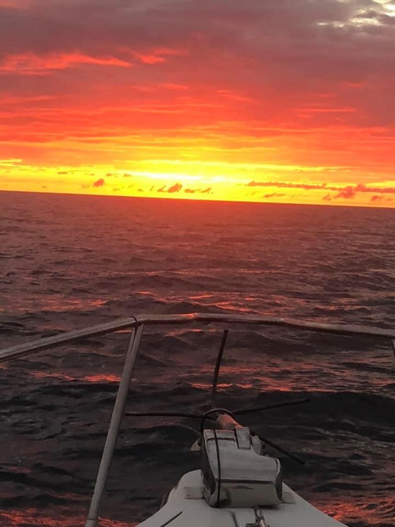 Damo King - “Our amazing waters off Gladstone. Sunrise, looks like it’s on fire”