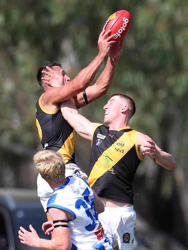 Albury’s Mat Walker kicked six goals against Lavington. Picture Yuri Kouzmin