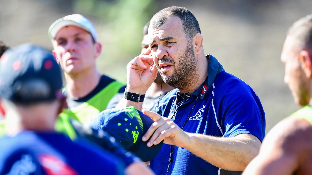 Head coach Michael Cheika. Photo: Rugby AU Media/Stuart Walmsley