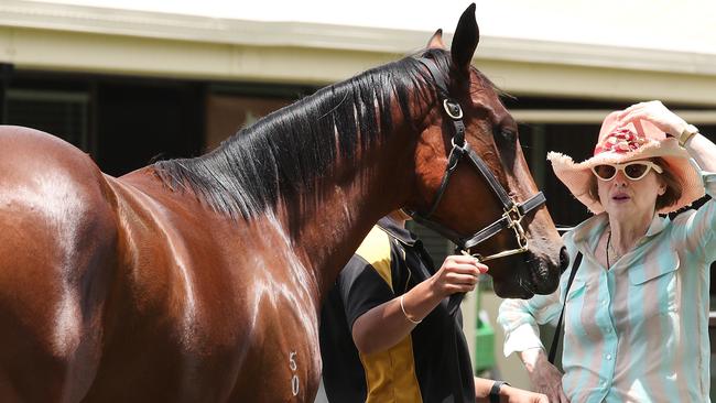 Gai has a “gut instinct” for picking a winner. Picture Glenn Hampson