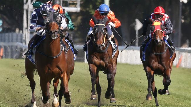 Action at the Turf Club last month. Picture: Glenn Hampson