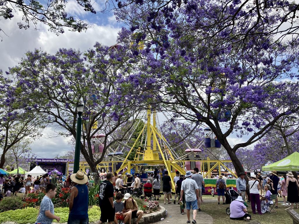 Grafton Jacaranda Festival 2023 photo gallery Townsville Bulletin