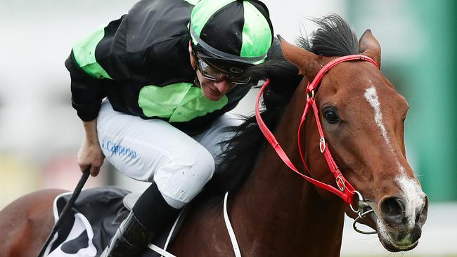 Stockman is a dominant favourite in the Caloundra Cup. Picture: Getty Images