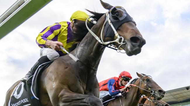 Race 10 - Royal Randwick, 19 October 2024, Winner - Willaidow. Picture: Bradley Photos