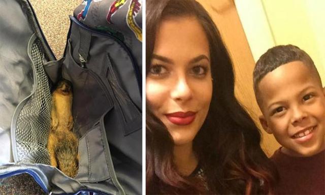 Mum’s hilarious response to her son bringing a dead animal to school
