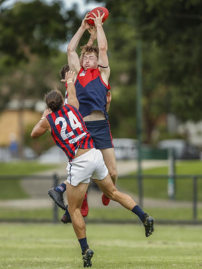 Southern: Sebastian Erharter flies high for Bentleigh. Picture: Valeriu Campan