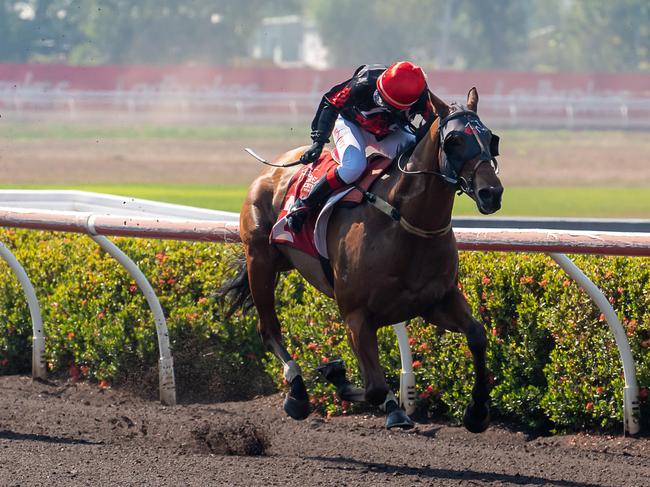 Noir De Rue won the feature race 2 Queens Birthday Race Day Handicap 1200m with jockey Vanessa Arnott for trainer Jason Manning Photo: Caroline Camilleri