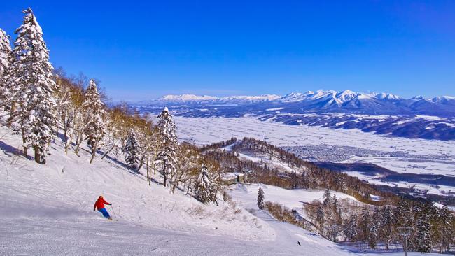 Japan’s snowfields could be thick with Australians over the December to February period, with the US and Canada considered too expensive for many. Picture: iStock