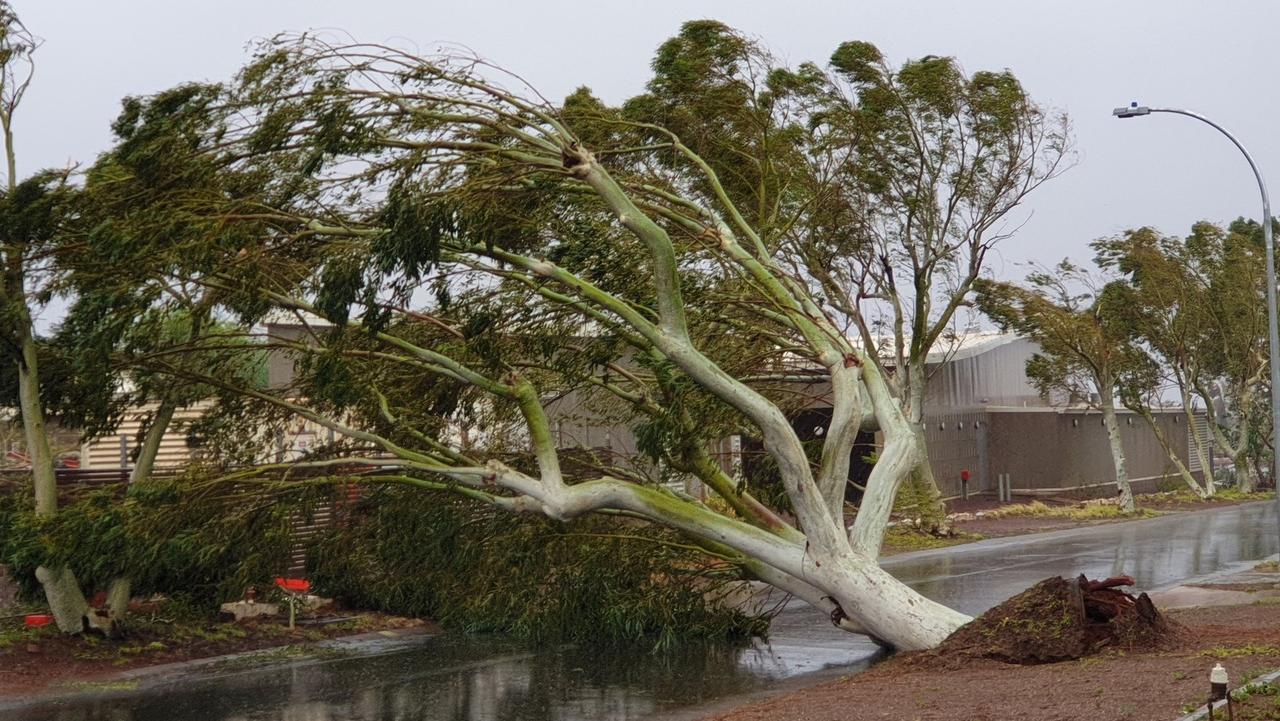 A tree blocks the road during high winds in Wickham, Pilbara, Western Australia. Picture: Twitter @WendyBirdOZ