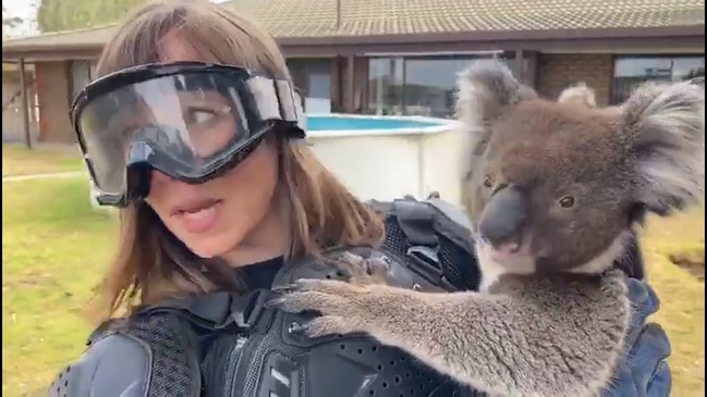 Reporter's hilarious drop-bear prank during Aussie fires