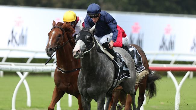 The Coolmore-owned Public Attention will tackle The Kiwi on Saturday Picture: Getty Images