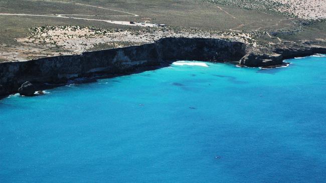 Southern right whales in the Great Australian Bight. Picture: Great Australian Bight Right Whale Study — Curtin University 