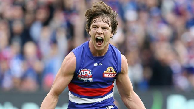 Liam Picken celebrates during the Western Bulldogs’ Grand Final win.