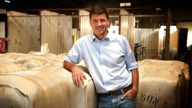 Young leader: Angus Taylor says there is more investment money than products in Australian agriculture.