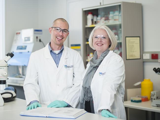 Dr Matthew Call and Dr Melissa Call run a lab together at WEHI. Picture: Supplied