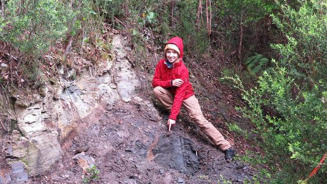 Dr Miriam Slodownik at the Lowana outcrop. New remains of a 53-million-year-old polar forest have been unearthed near Macquarie Harbour in Western Tasmania, unveiling previously unknown ancestral origins of rainforest plants in the southern polar region. Picture: Greg Jordan